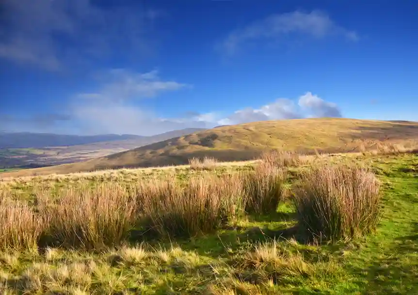 Fforest Fawr UNESCO Global Geopark