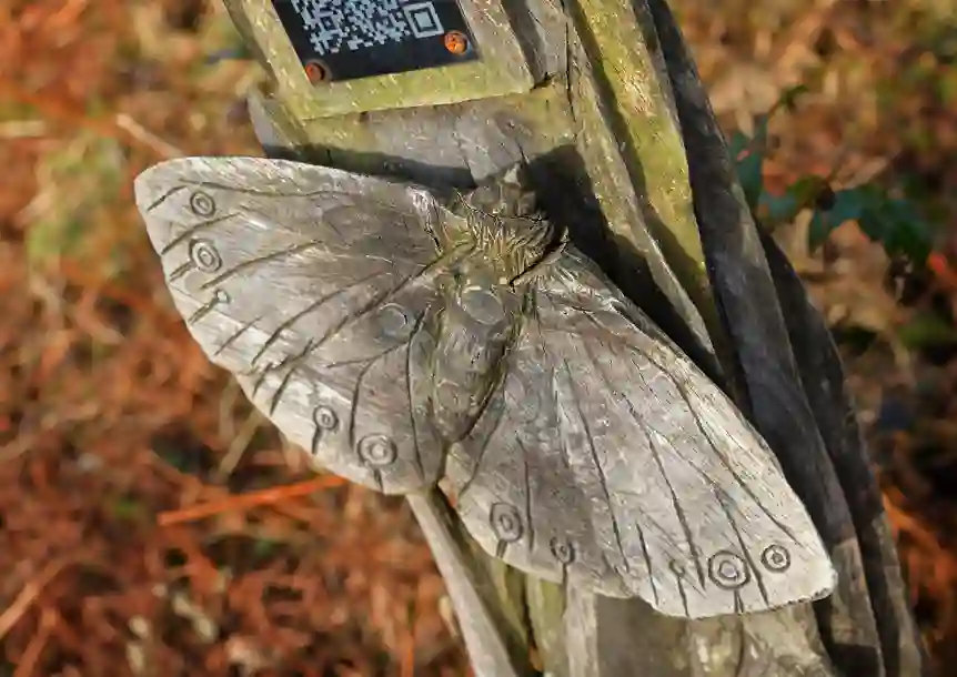 Carmel National Nature Reserve