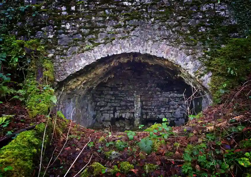 Carmel National Nature Reserve