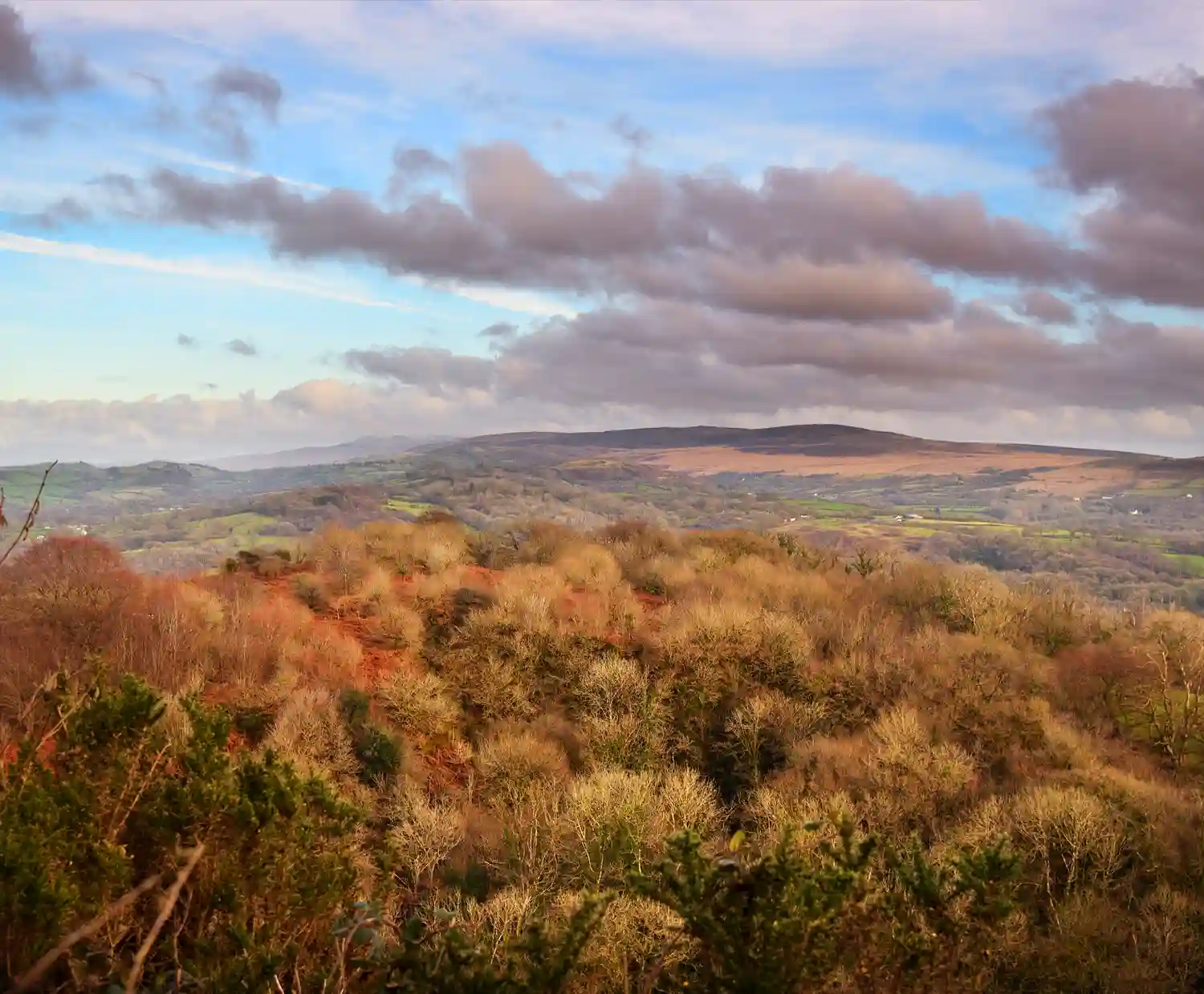 Carmel National Nature Reserve