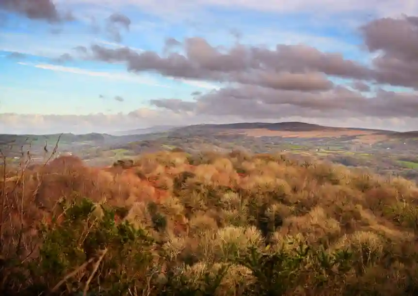 Carmel National Nature Reserve