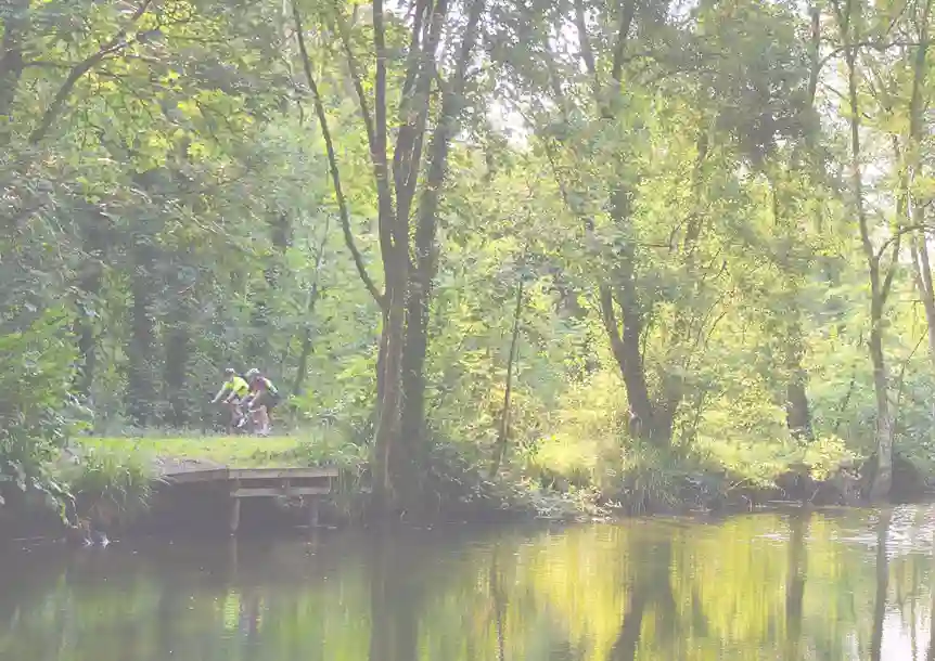 Superb Cycling