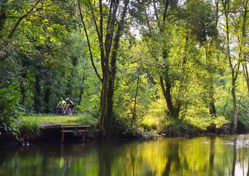 Superb Cycling