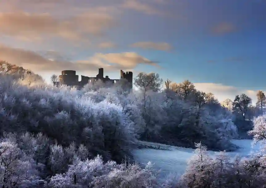 Dinefwr Park