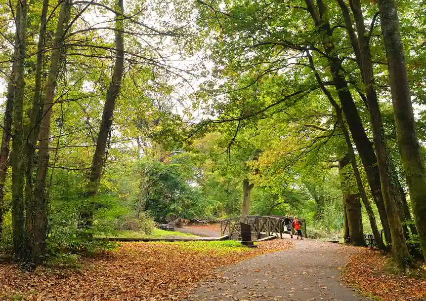 Gnoll Country Park