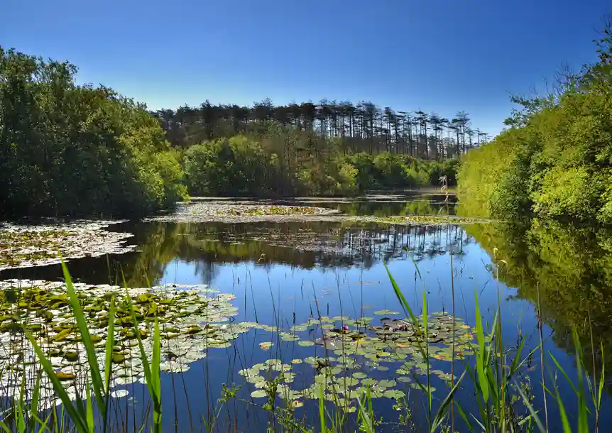 Pembrey