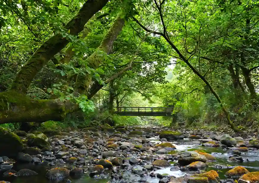 Ynysdawela Nature Park