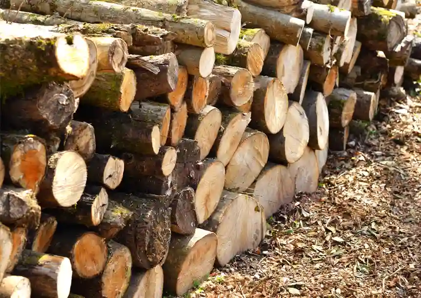 Craig y nos Country Park