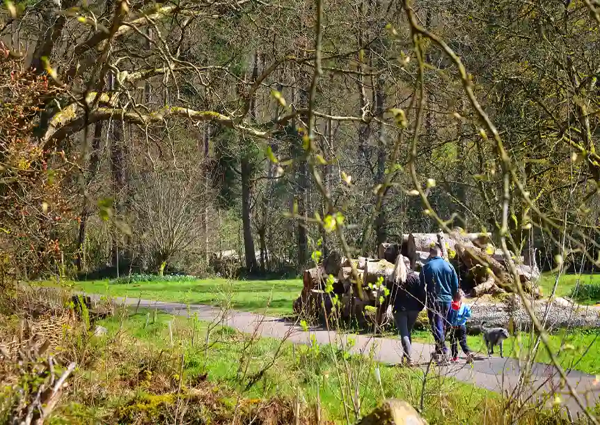 Craig y nos Country Park