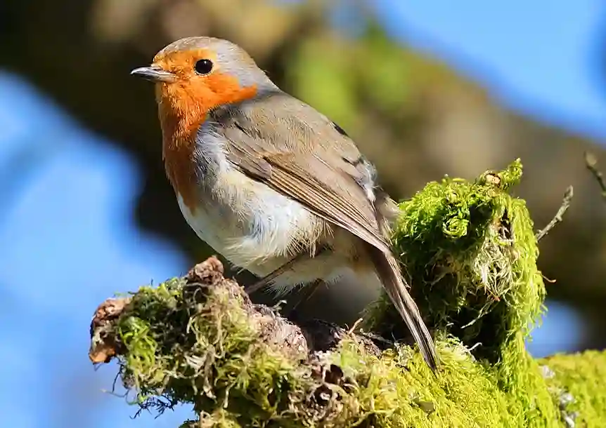 Craig y nos Country Park