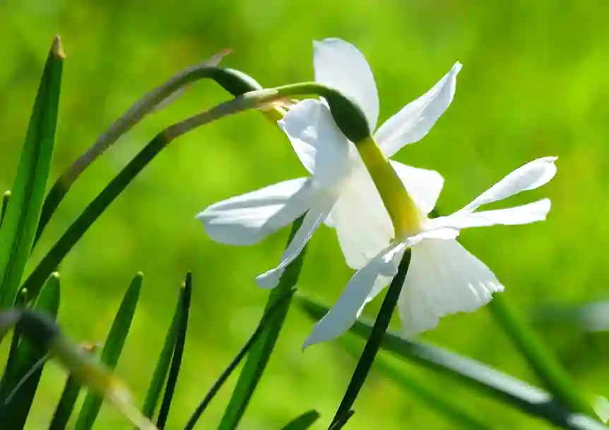 Craig y nos Country Park