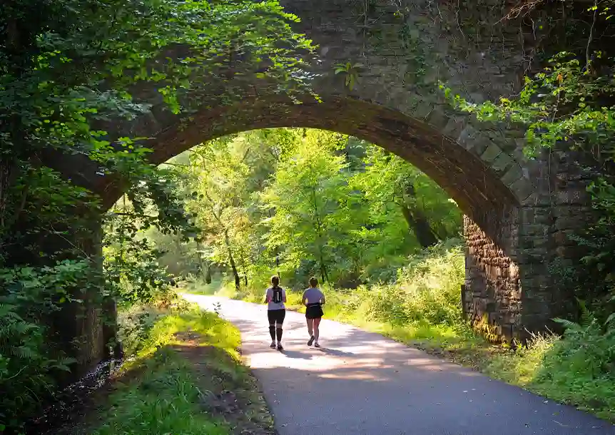 Clyne Valley Path