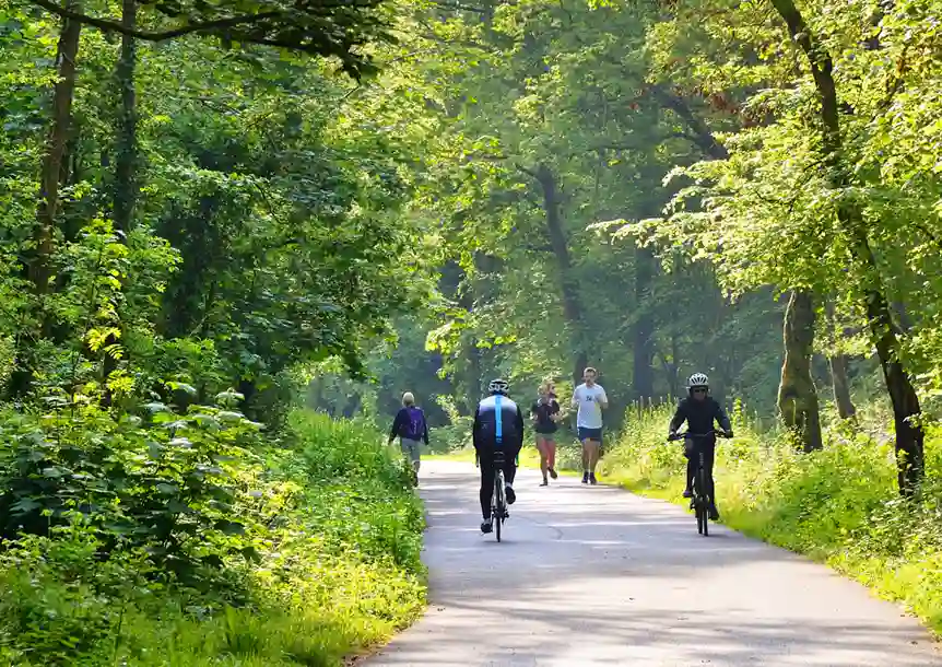 Clyne Valley Path