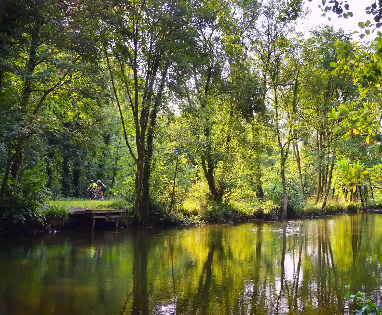Clyne Valley Cycle Path