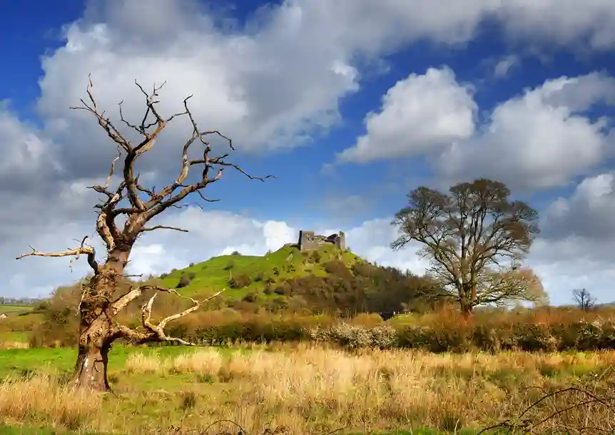 Tywi Valley