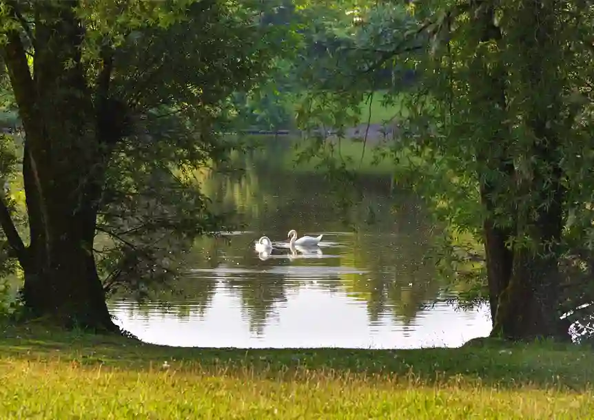 Fendrod Lake, Swansea