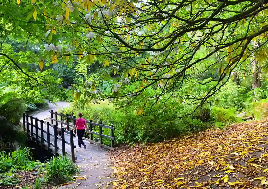 Clyne Gardens