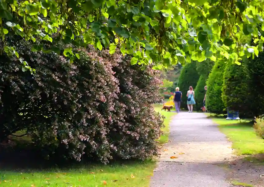 Clyne Gardens