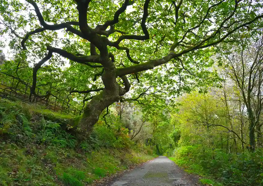 Route between the Reservoirs