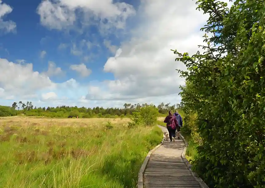 Llyn Llech Owain Country Park, Gorslas, Carmarthenshire