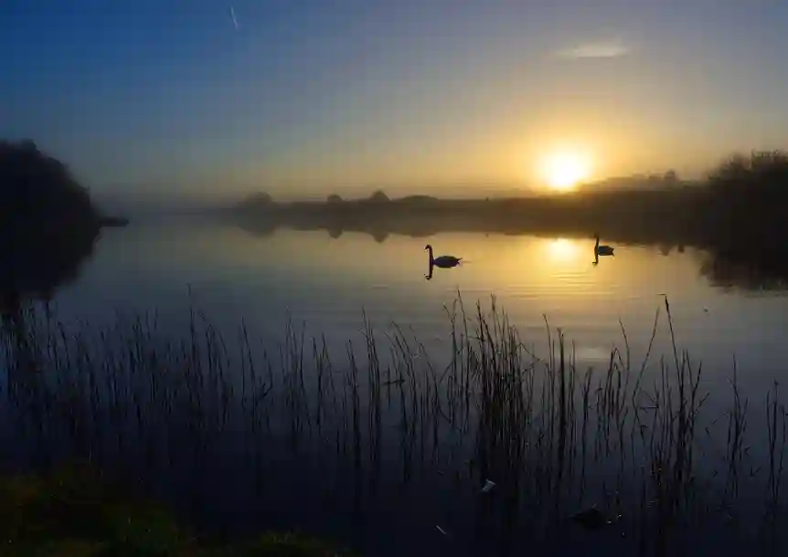Machynys Peninsula, Carmarthenshire