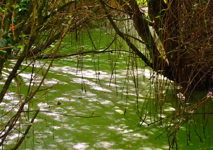 Berwick Nature Reserve