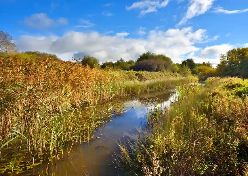 Berwick Nature Reserve