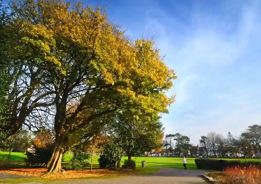 Parc Howard