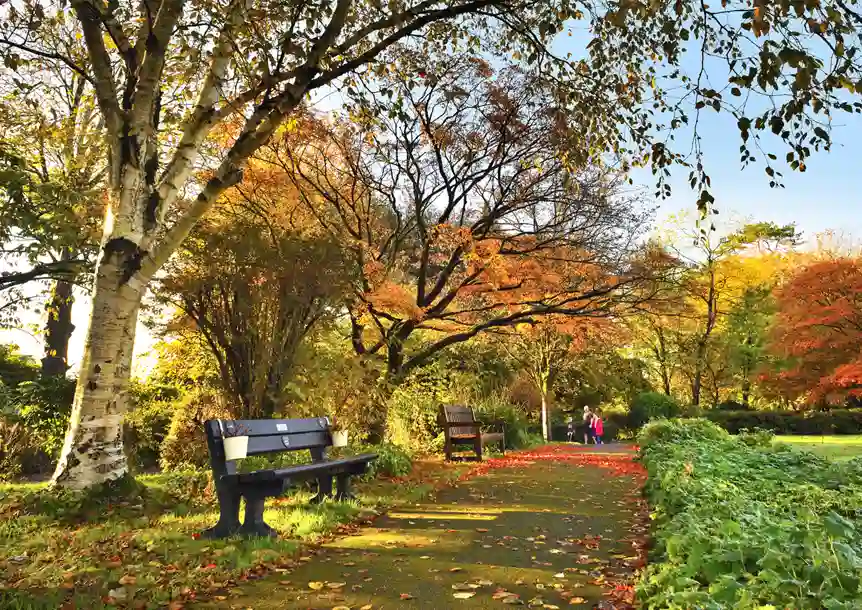 Parc Howard