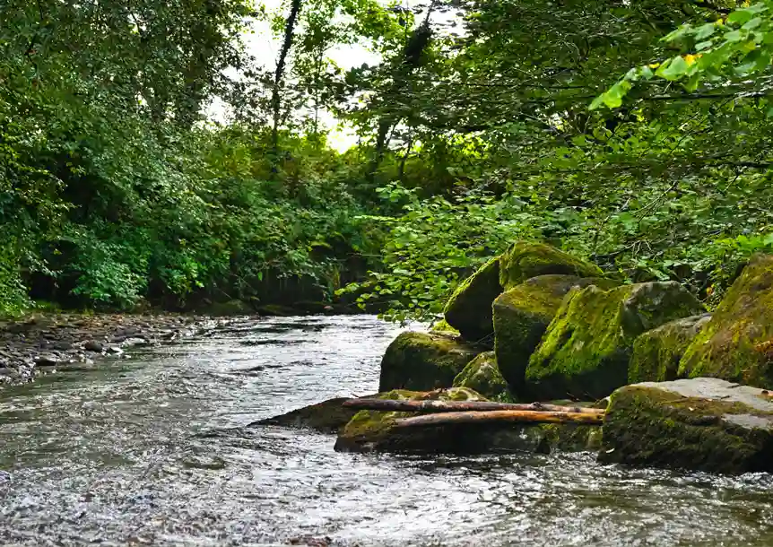 Bryngarw Country Park