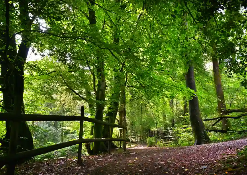 Bryngarw Country Park