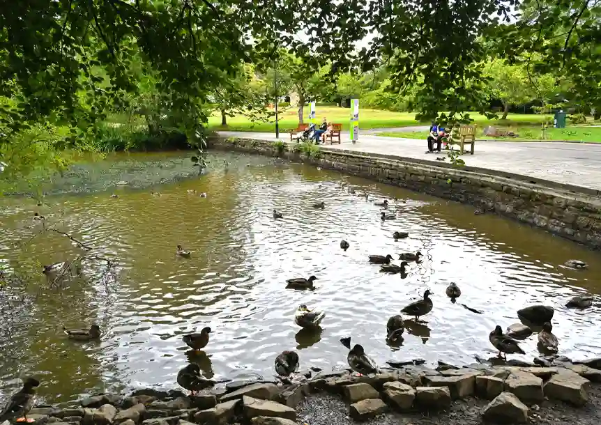 Bryngarw Country Park