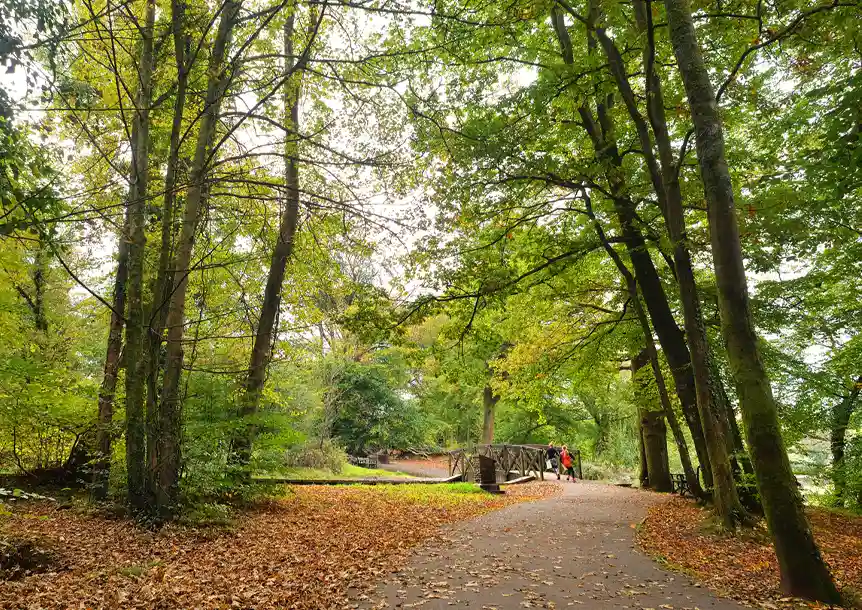 Gnoll Country Park