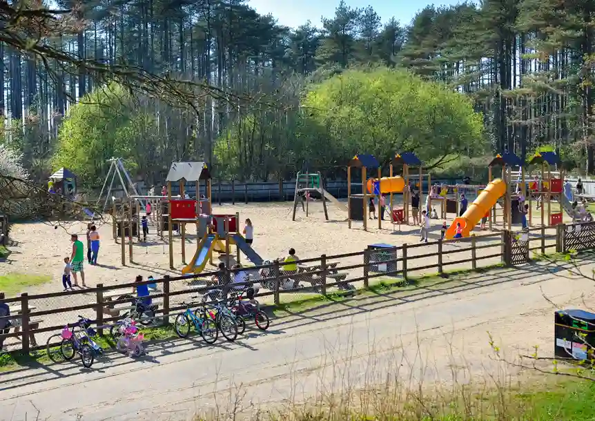 Pembrey Country Park