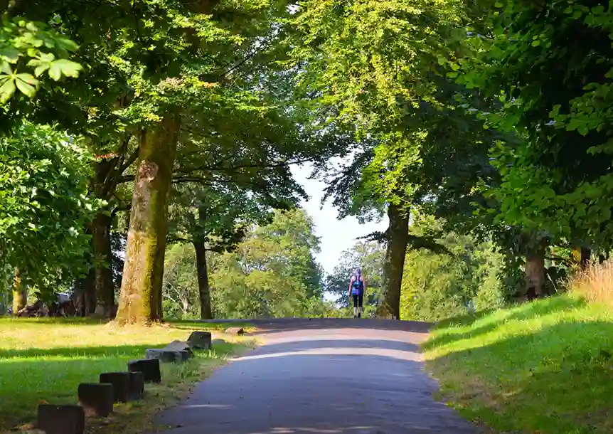 Singleton Park, Swansea