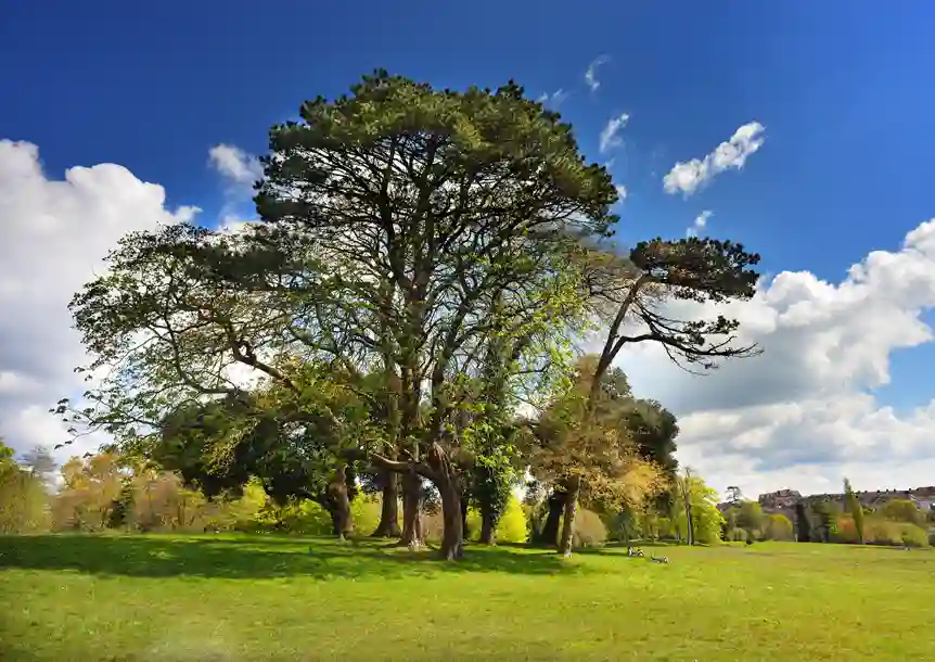 Singleton Park, Swansea