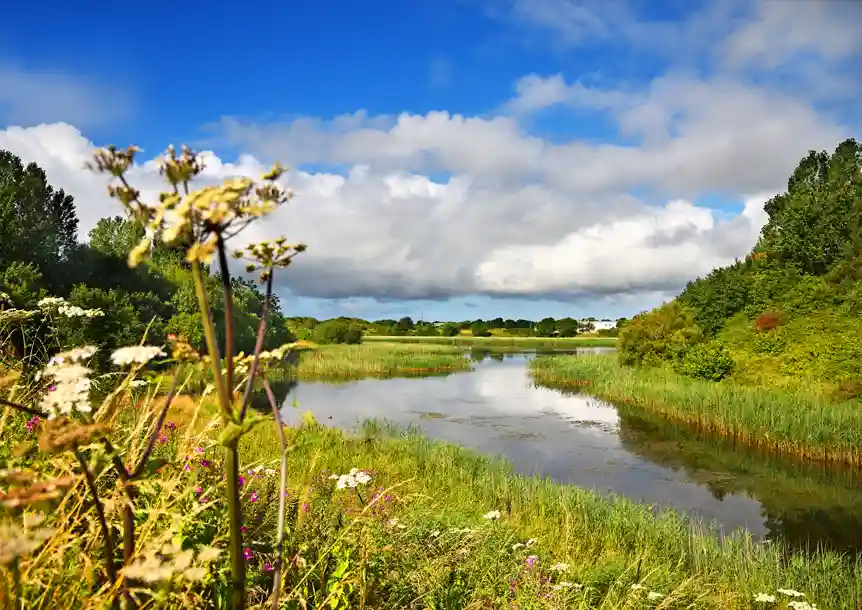 Pwll near Llanelli