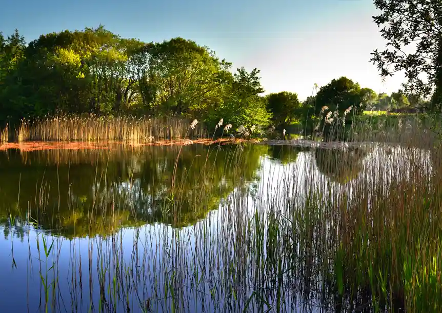 Pwll near Llanelli