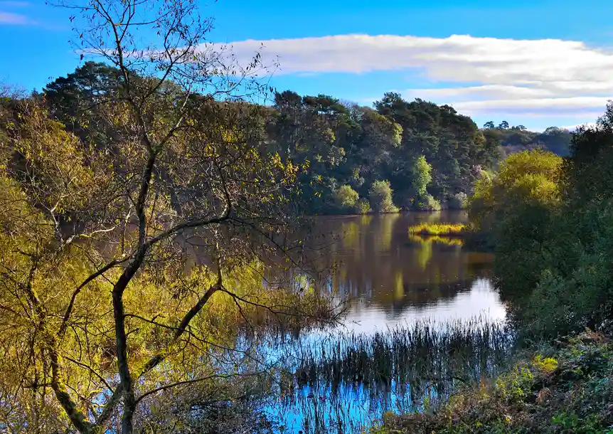 Swiss Valley, Carmarthenshire