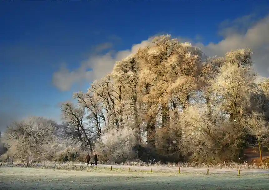 Dinefwr Park & Castle