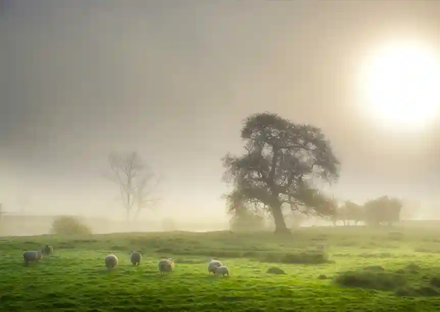 Riverbank near Dryslwyn Castle