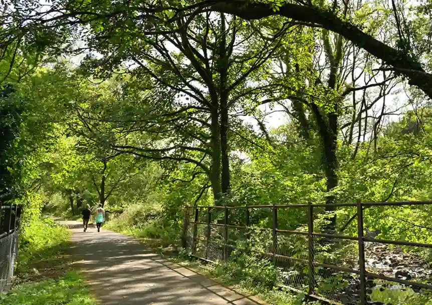 Ynysdawela Nature Park