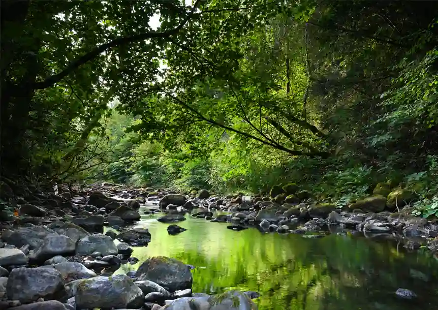 Ynysdawela Nature Park