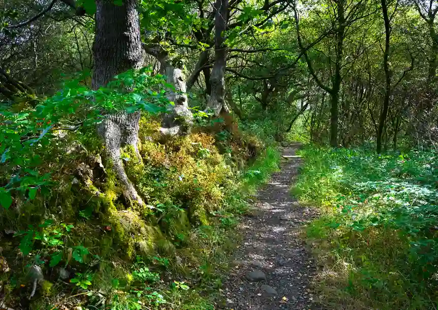 Ynysdawela Nature Park