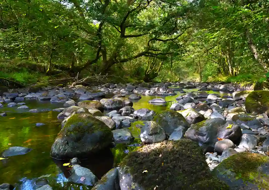 Ynysdawela Nature Park