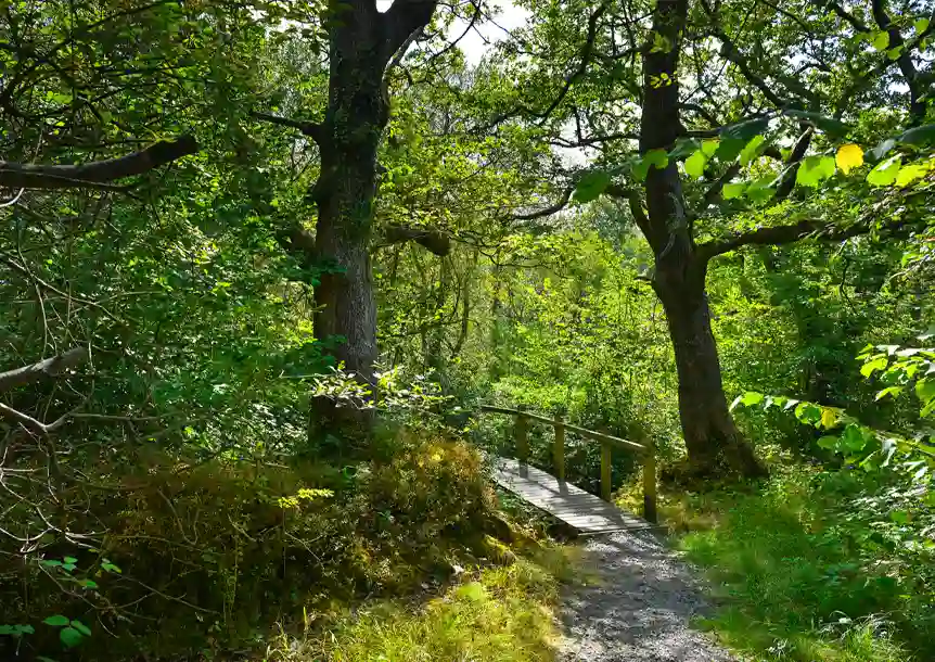 Ynysdawela Nature Park